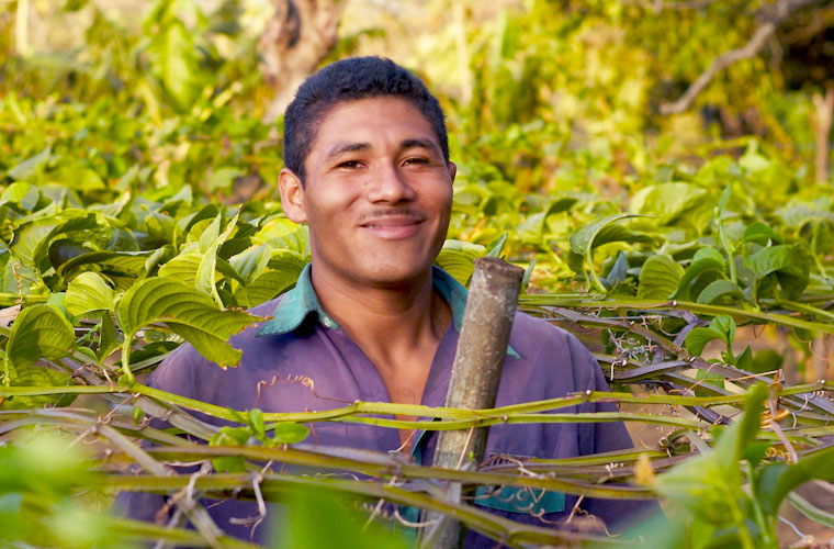 Support Sustainability for Nicaraguan Farmers