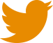 Twitter icon