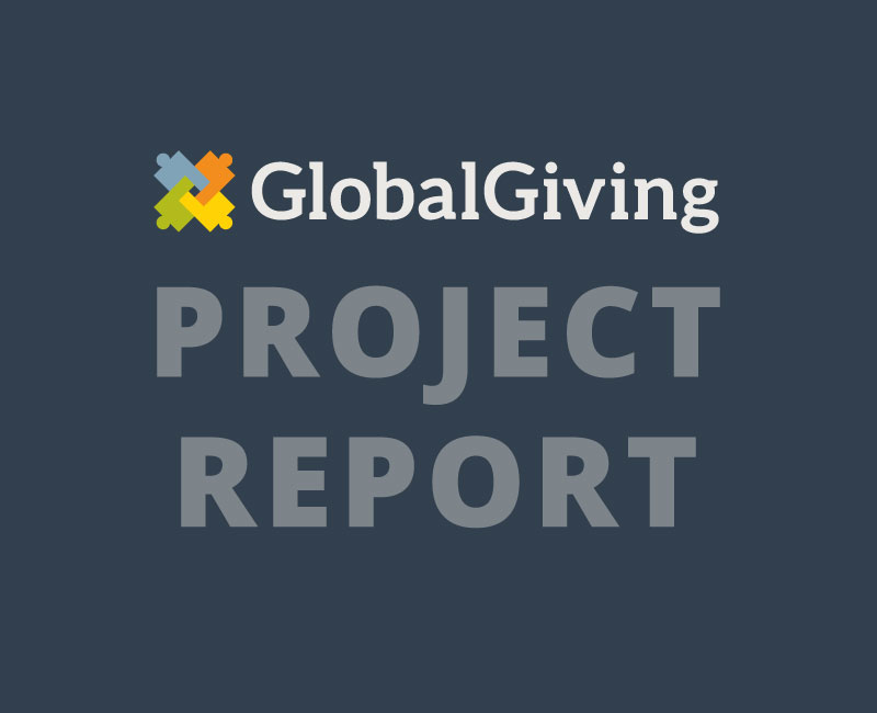 GlobalGiving_2019_Annual_Report.pdf (PDF)