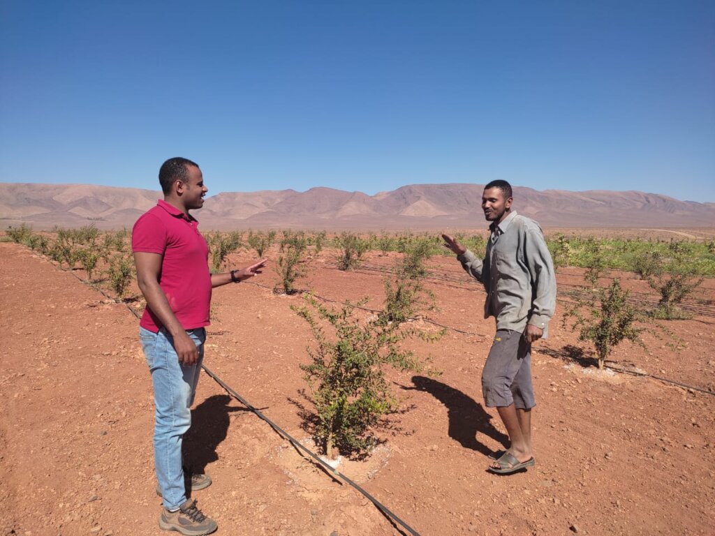 Plant Trees to Empower Farming Families in Morocco