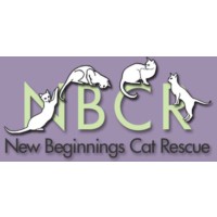 New Beginnings Cat Rescue
